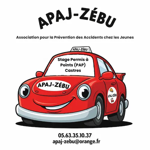 Apaj-zebu construit par lumiva.fr